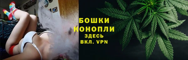крисы Арсеньев
