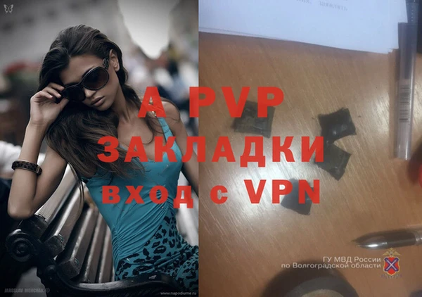 крисы Арсеньев