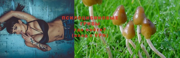 прущие крисы Баксан